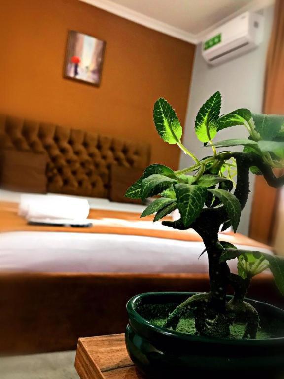 Geo Hotel Тбилиси Экстерьер фото